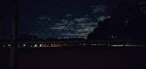 Lions Park - photo 29