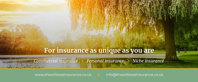The Willows Insurance Services - Insurance broker