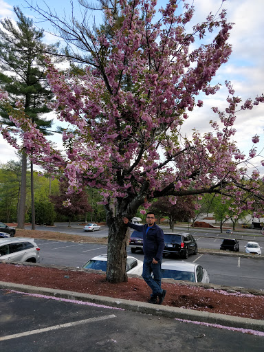 Cafe «Pressed Cafe», reviews and photos, 108 Spit Brook Rd, Nashua, NH 03062, USA