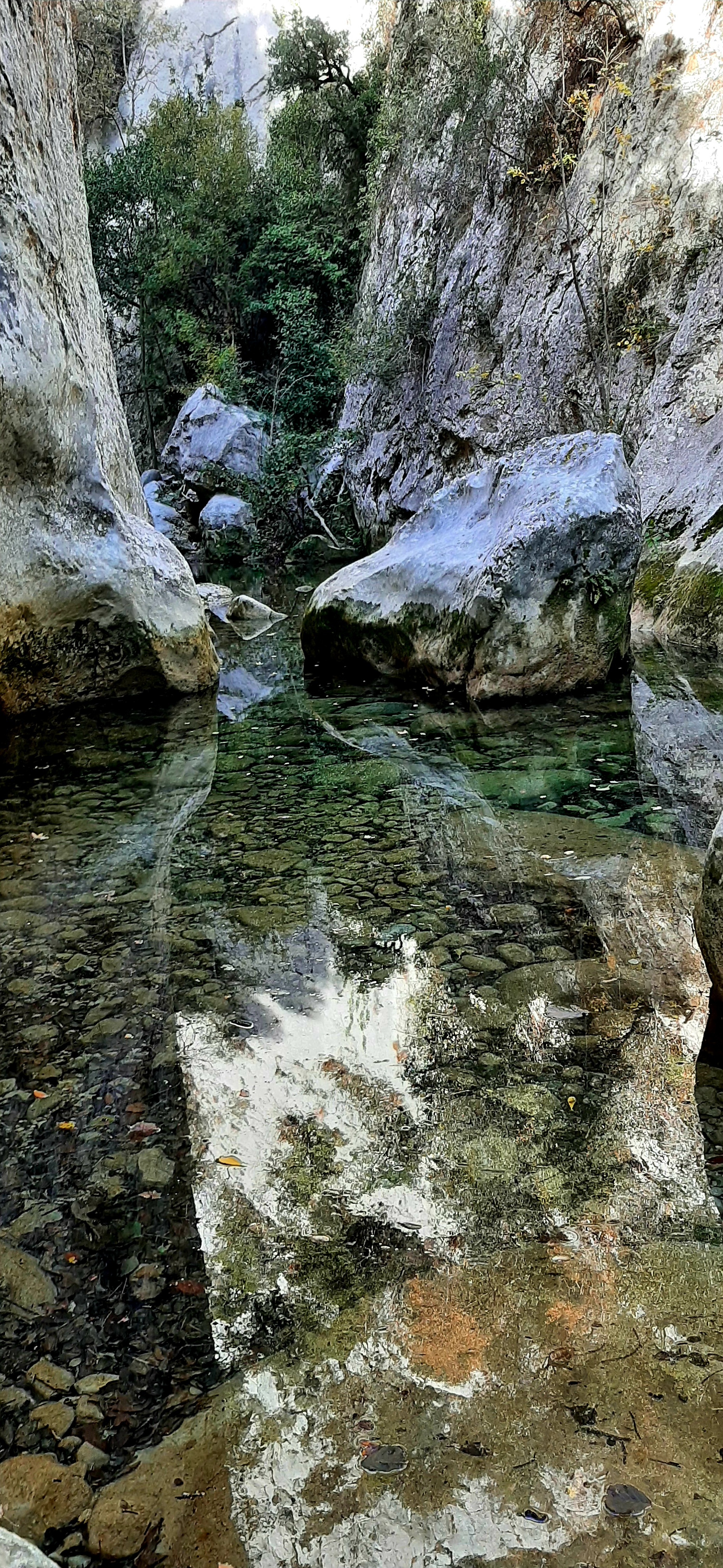 Photo n° 20 de l'avis de Sabine.i fait le 17/11/2022 à 19:51