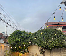 Pama Cafe & Izakaya photo