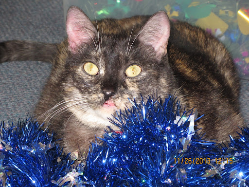 Coffee Shop «Downtown Video & You Maka Me HOT Coffee Roasting Company», reviews and photos, 101 NE 1st Ave, Mineral Wells, TX 76067, USA