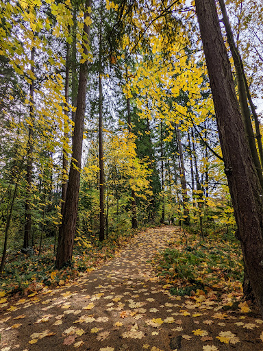 Park «Zumdieck Park», reviews and photos, 1500 108th Ave NE, Bellevue, WA 98004, USA