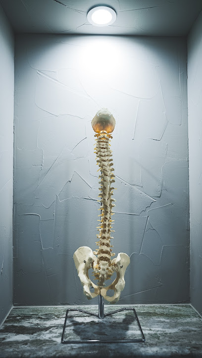 Elite Care Professionals- Chiropractic/Medical Center