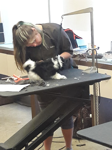 Pet Supply Store «Petco Animal Supplies», reviews and photos, 8213 Hwy 72 W c, Madison, AL 35758, USA