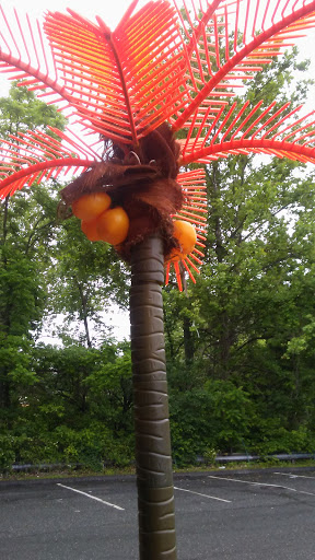 Grocery Store «Save-A-Lot», reviews and photos, 803 Blackwood Clementon Rd, Lindenwold, NJ 08021, USA