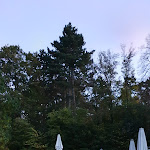 Photo n°4 de l'avis de foxawy.m fait le 04/11/2019 à 05:18 sur le  Tea House in Weissenburg Park à Stuttgart