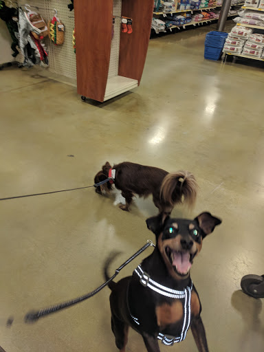 Pet Supply Store «PetSmart», reviews and photos, 490 River St, Santa Cruz, CA 95060, USA