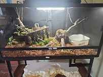 Corona Reptiles & Kritters - Car repair in Corona, CA, Corona - Rated 4.7/5