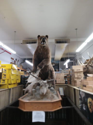 Shoe Store «Coleman Shoe Repair & Bootery», reviews and photos, 129 W Main St, Princeton, KY 42445, USA