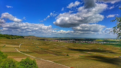 Falaise De Vertus à Bergères-lès-Vertus