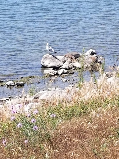 Park «Robert Moses State Park», reviews and photos, 32 Beach Marina Rd, Massena, NY 13662, USA