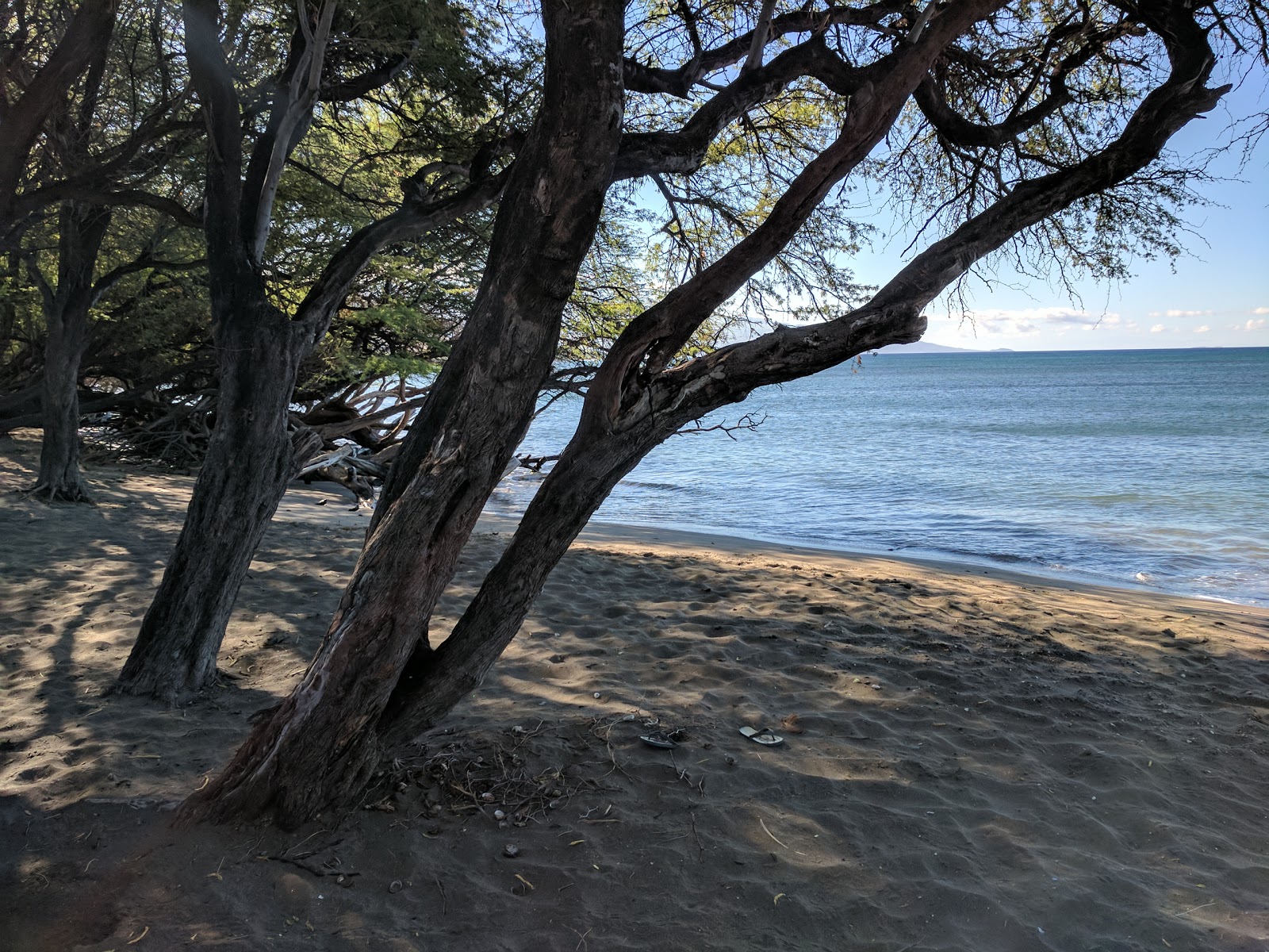Olowalu Beach'in fotoğrafı - rahatlamayı sevenler arasında popüler bir yer