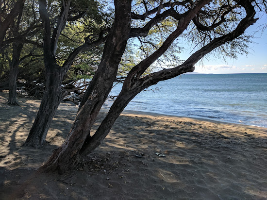 Olowalu Beach