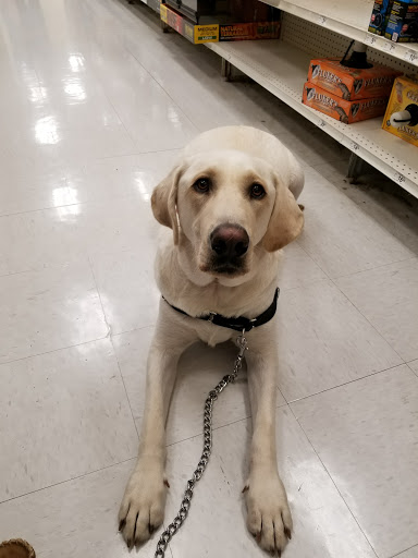 Pet Supply Store «Petco Animal Supplies», reviews and photos, 760 Queen St, Southington, CT 06489, USA