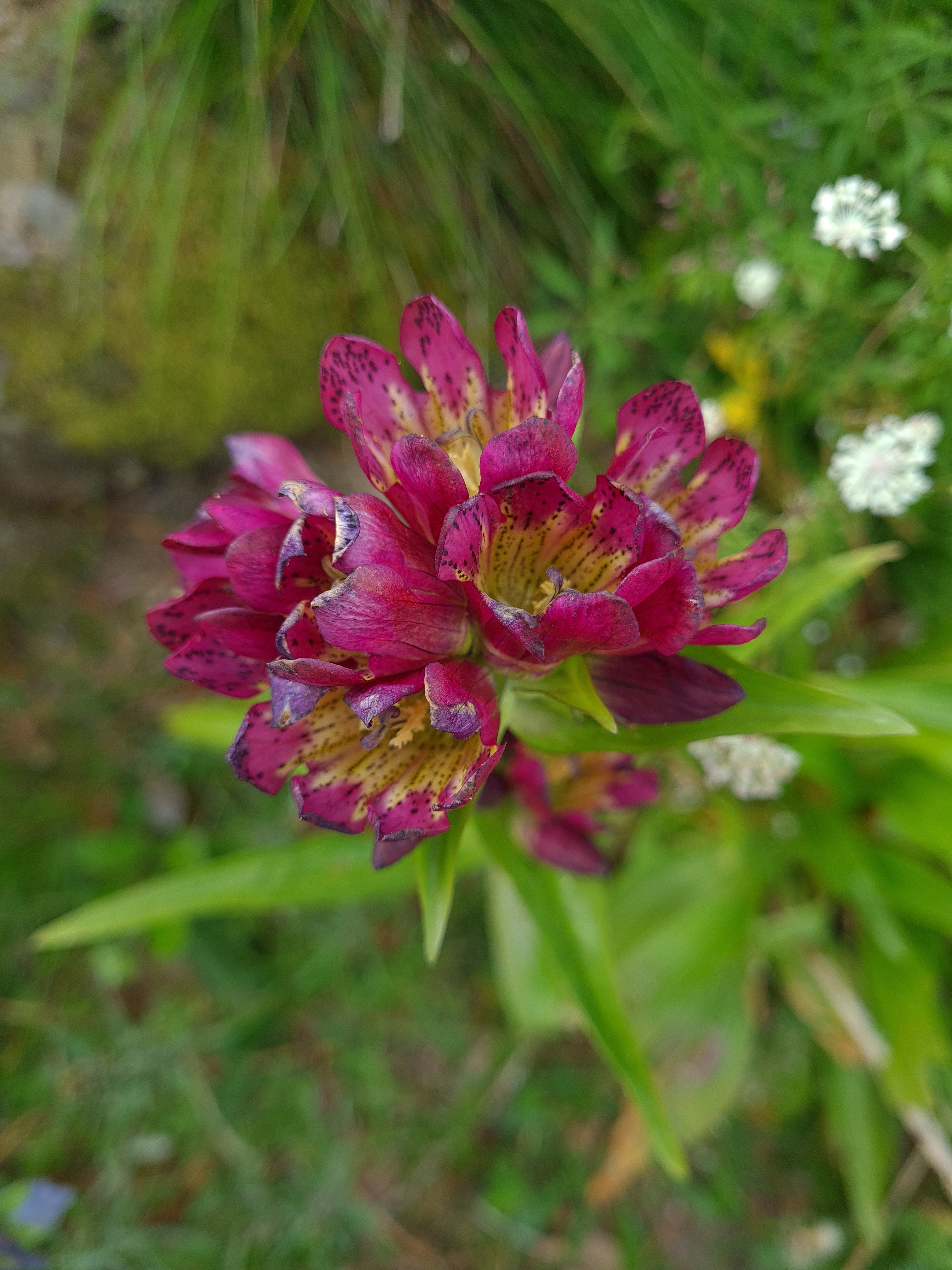 Photo n° 3 de l'avis de Mikael.e fait le 27/07/2020 à 14:32