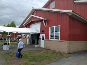 Paradise City Arts Festival - photo 77
