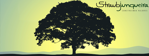 Logo da empresa - StraubJunqueira
