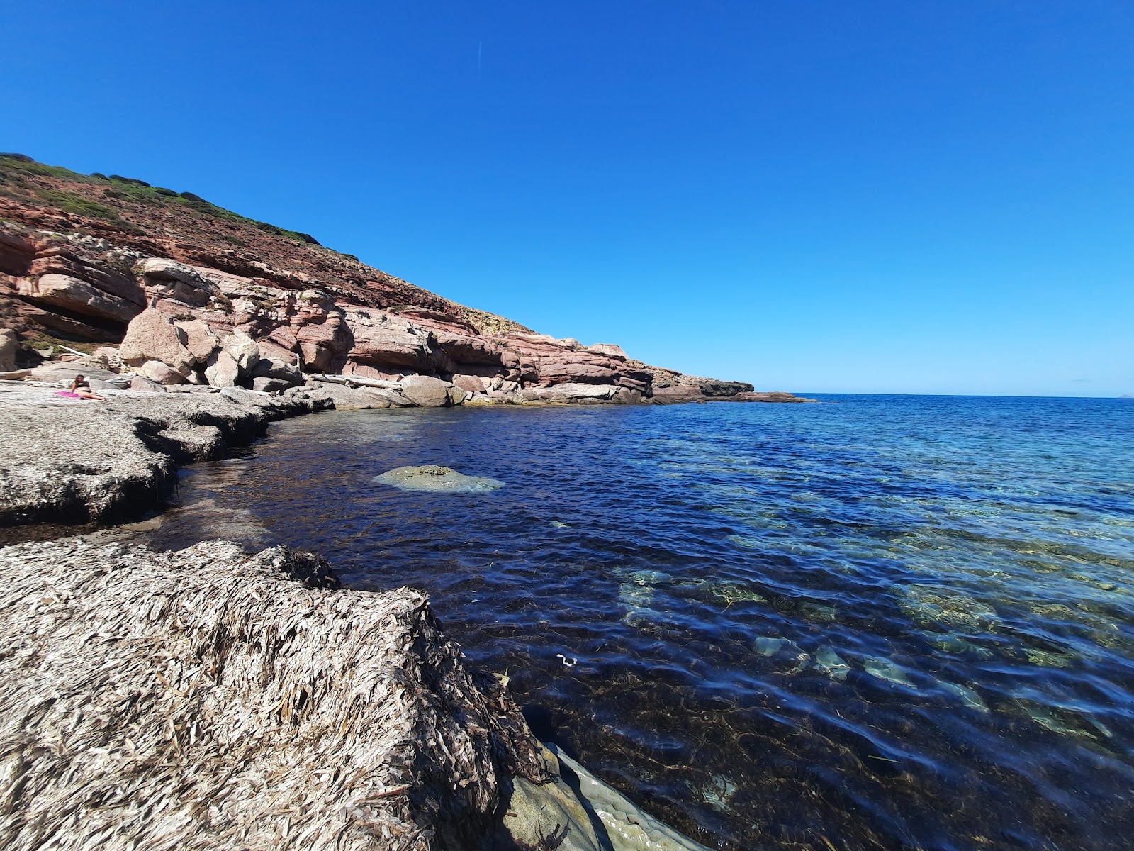 Cala Viola'in fotoğrafı vahşi alan
