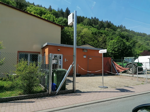 Kraft Annette Dr. med. vet. Tierärztin unter Schönau, 
