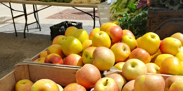 Town Center Market