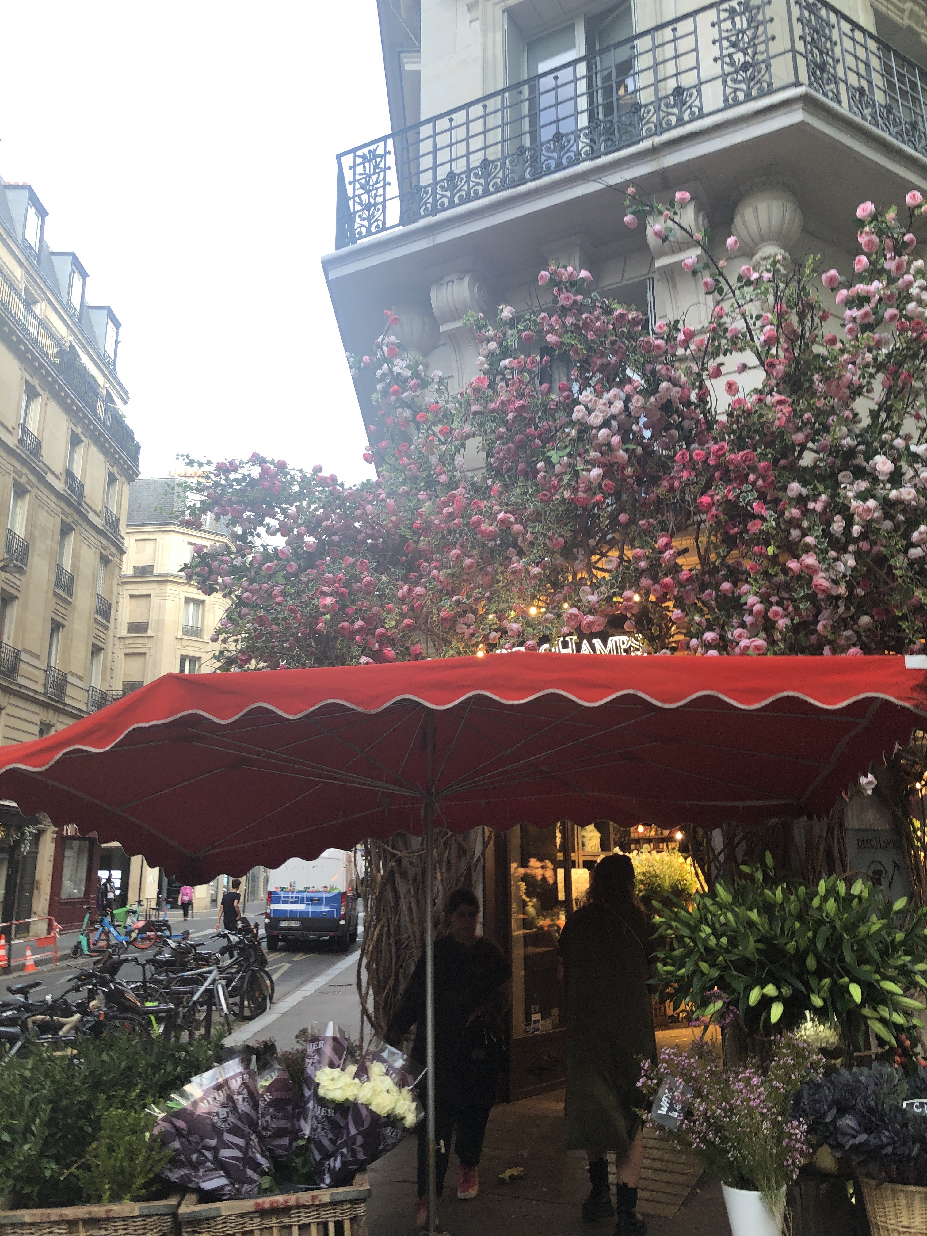 Photo n° 17 de l'avis de Mia.e fait le 03/09/2022 à 17:42