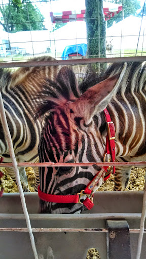 Zoo «Petting Zoo», reviews and photos, 1205 E 33rd St, Des Moines, IA 50317, USA