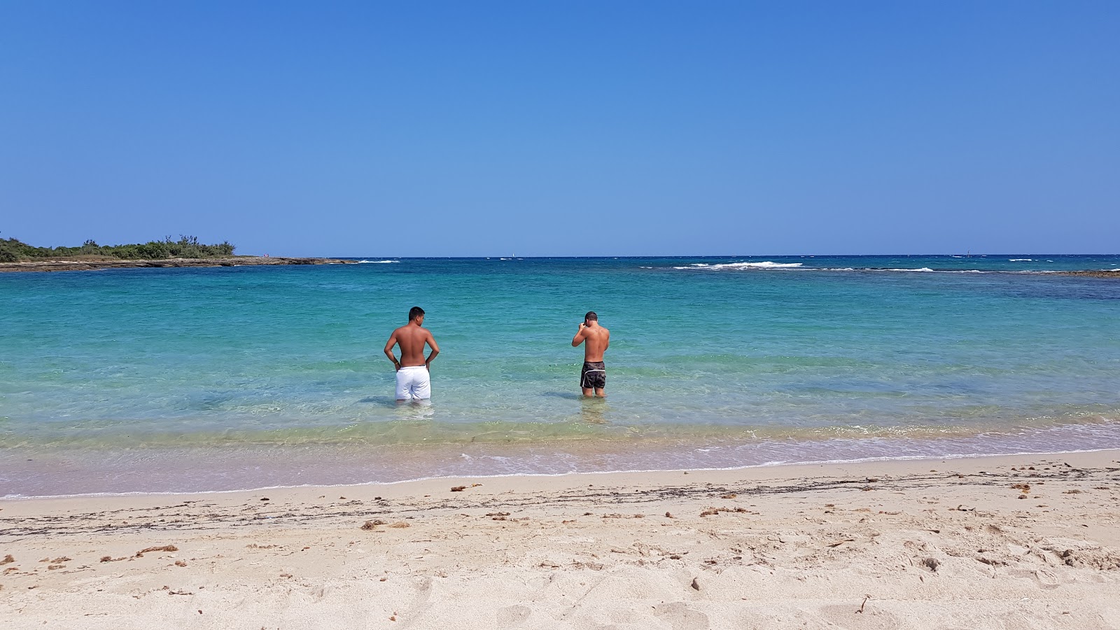 Foto von Spiaggia di Torre Guaceto mit etwas sauber Sauberkeitsgrad