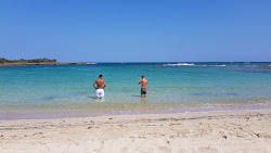 Zdjęcie Spiaggia di Torre Guaceto z poziomem czystości dość czysty