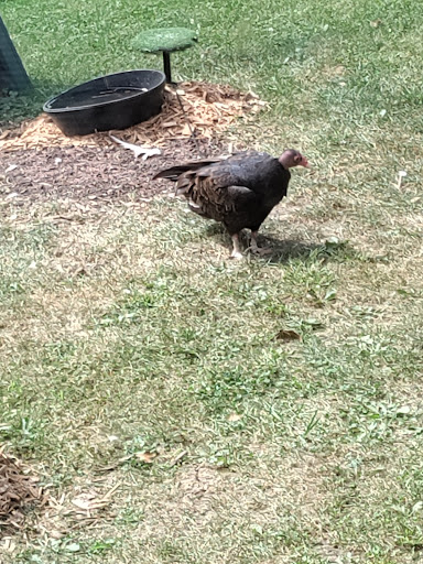 Nature Preserve «Lakeside Nature Center», reviews and photos, 4701 E Gregory Blvd, Kansas City, MO 64132, USA