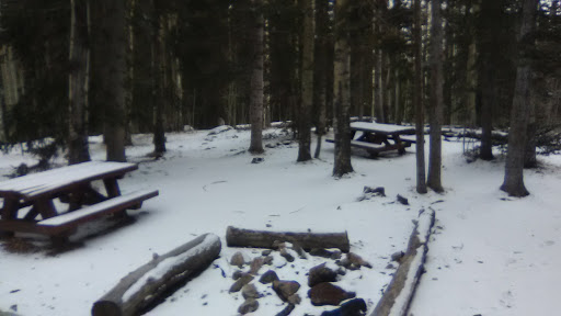 Escape to Enchantment: Your Guide to New Mexico's Aspen Basin Campground