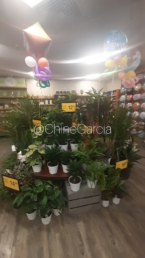 Grocery Store «Safeway», reviews and photos, 7643 Arundel Mills Blvd, Hanover, MD 21076, USA