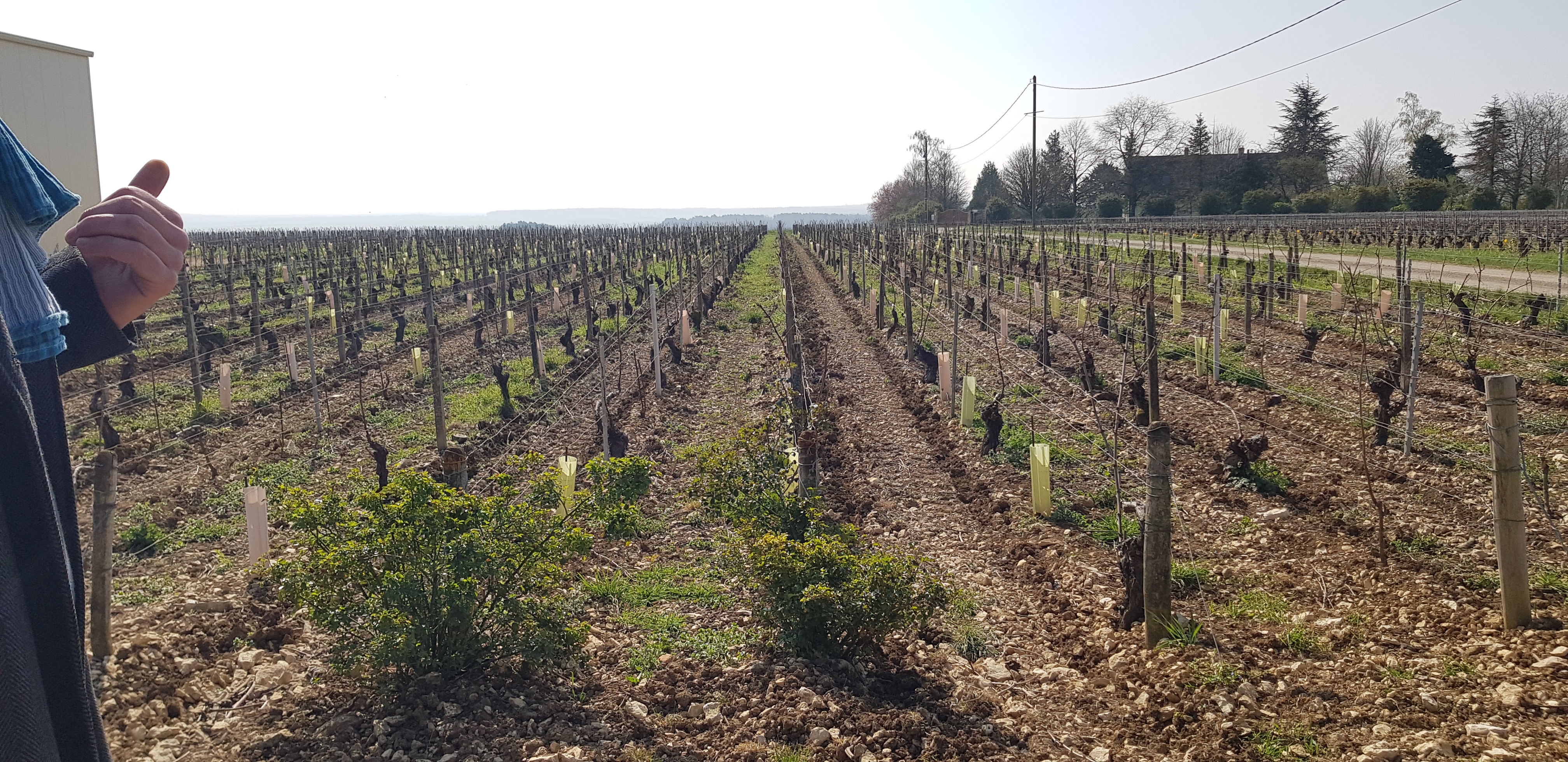Photo n° 1 de l'avis de sandrine.e fait le 27/03/2022 à 17:07
