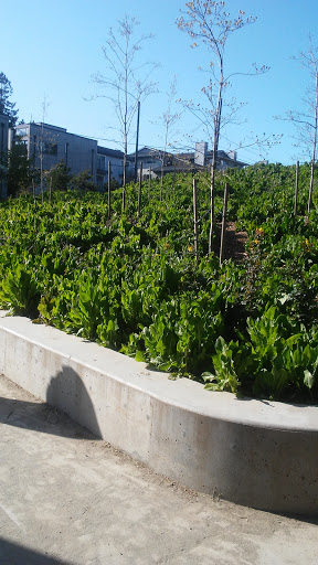 Tourist Attraction «Fremont Troll», reviews and photos, Troll Ave N, Seattle, WA 98103, USA