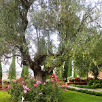 Photo n°7 de l'avis de giuseppe.o fait le 20/09/2020 à 10:43 sur le  Borgo Tre Rose - Country Hotel Montepulciano à Montepulciano