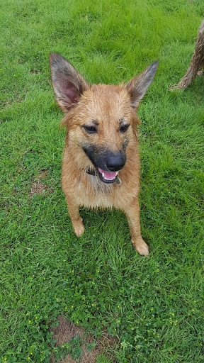 Pet Supply Store «Pet Supplies Plus», reviews and photos, 345 Willow Bend, Crystal, MN 55428, USA