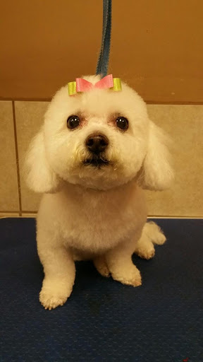 Pet Supply Store «McFaith Feed & Pet Supplies», reviews and photos, 4702 Paris Ave, New Orleans, LA 70122, USA