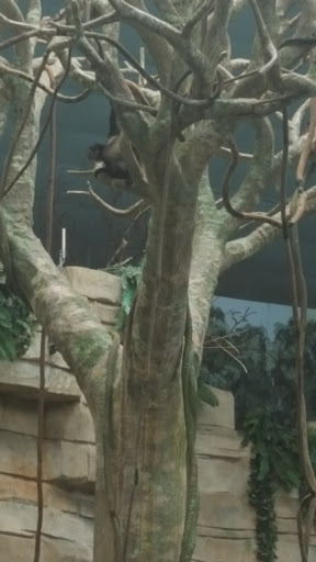 Zoo «Tropic World», reviews and photos, 3300 Golf Rd, Brookfield, IL 60513, USA