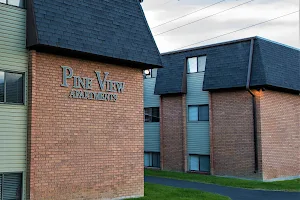 Pine View Apartments image
