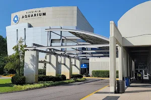 Virginia Aquarium & Marine Science Center image