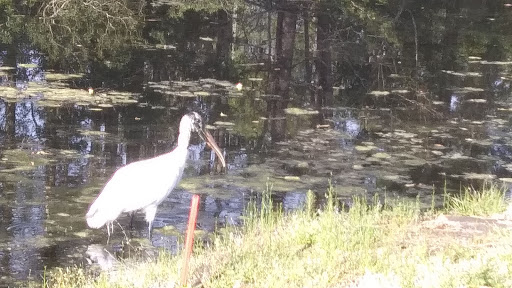 Golf Club «The Hackler Course at Coastal Carolina University», reviews and photos, 107 Citadel Dr, Conway, SC 29526, USA