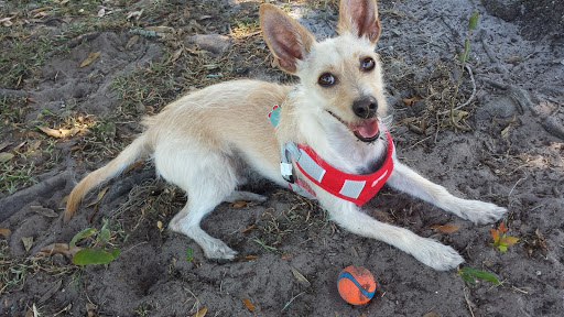 Park «Creekwood Park», reviews and photos, 7025 44th Ave E, Bradenton, FL 34205, USA