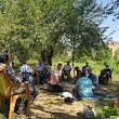 Yediveren Köyü Pınarlı Mezrası İlköğretim Okulu