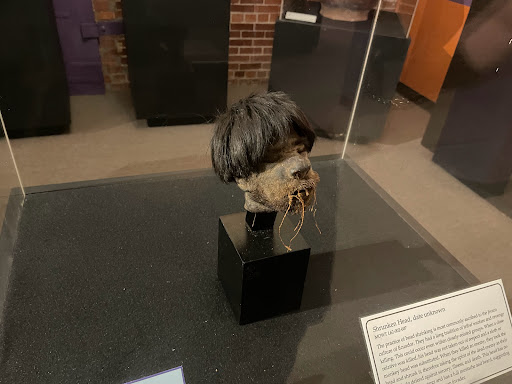 Museum «Museum of World Treasures», reviews and photos, 835 E 1st St N, Wichita, KS 67202, USA