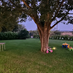 Photo n°14 de l'avis de Lorenzo.u fait le 14/08/2023 à 16:50 sur le  Agriturismo Il Noce à Vetralla