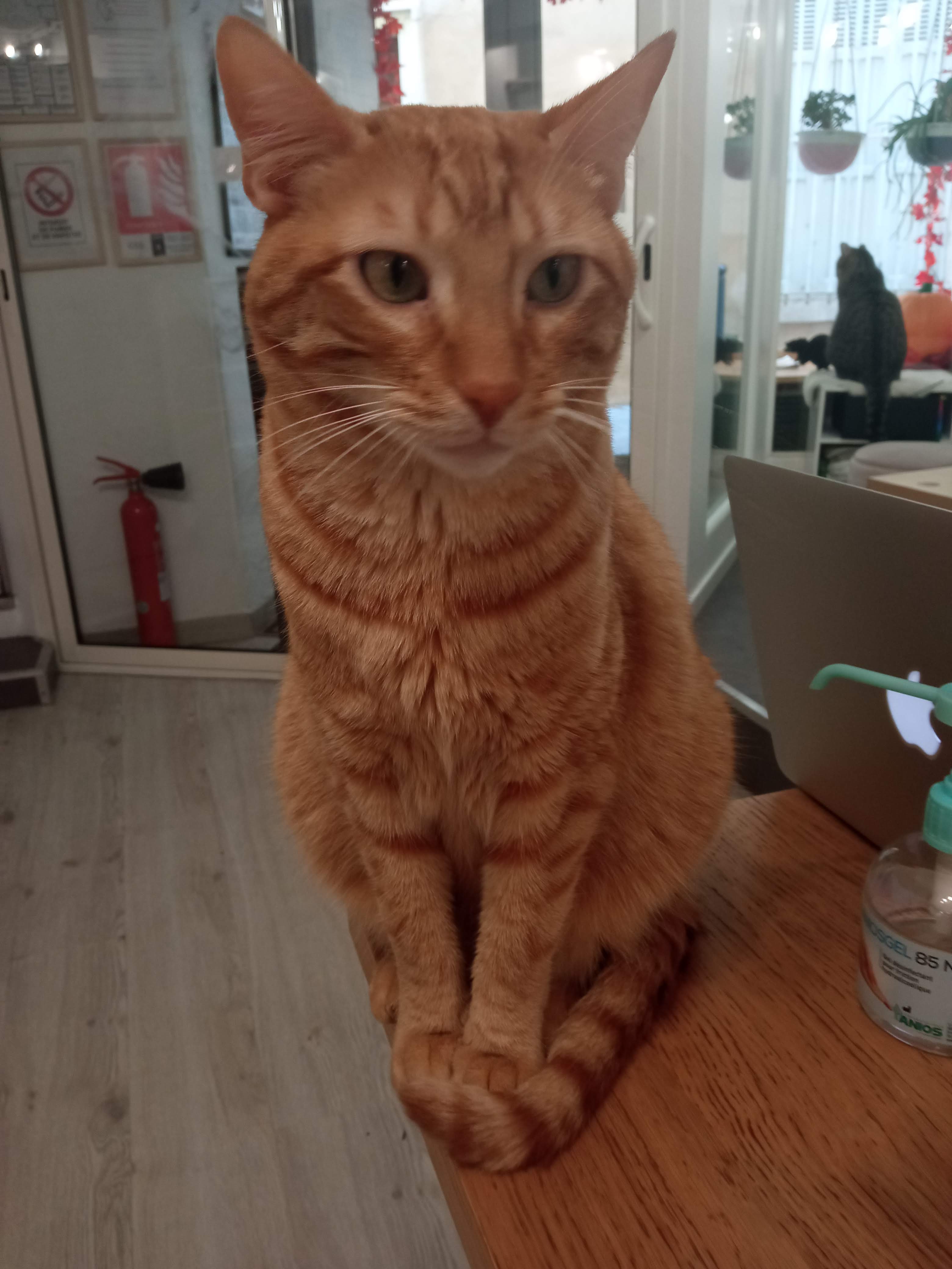 Photo n° 1 de l'avis de Eva.i fait le 20/10/2020 à 18:15