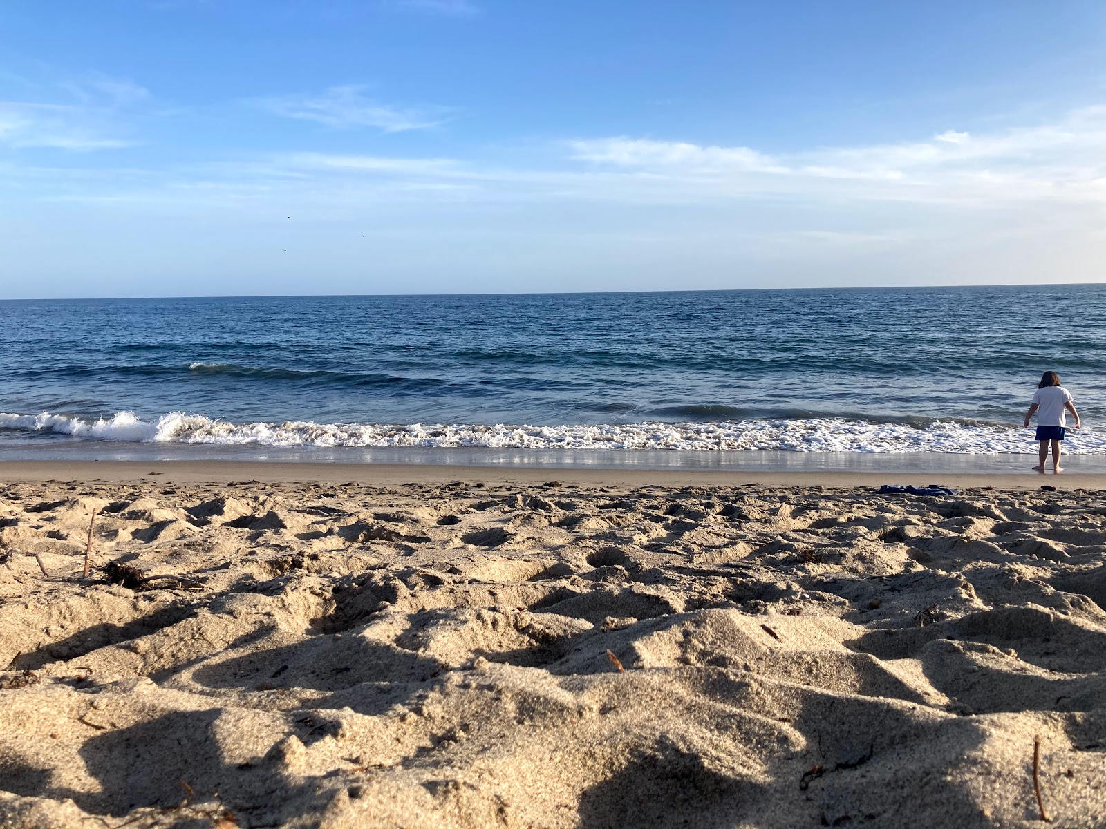 Fotografie cu Corral State Beach cu nivelul de curățenie înalt