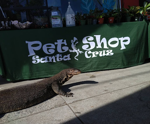 Pet Supply Store «Pet Shop Santa Cruz», reviews and photos, 533 Seabright Ave, Santa Cruz, CA 95062, USA