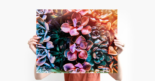 Photo Lab «Nations Photo Lab», reviews and photos, 11103 Pepper Rd, Cockeysville, MD 21030, USA