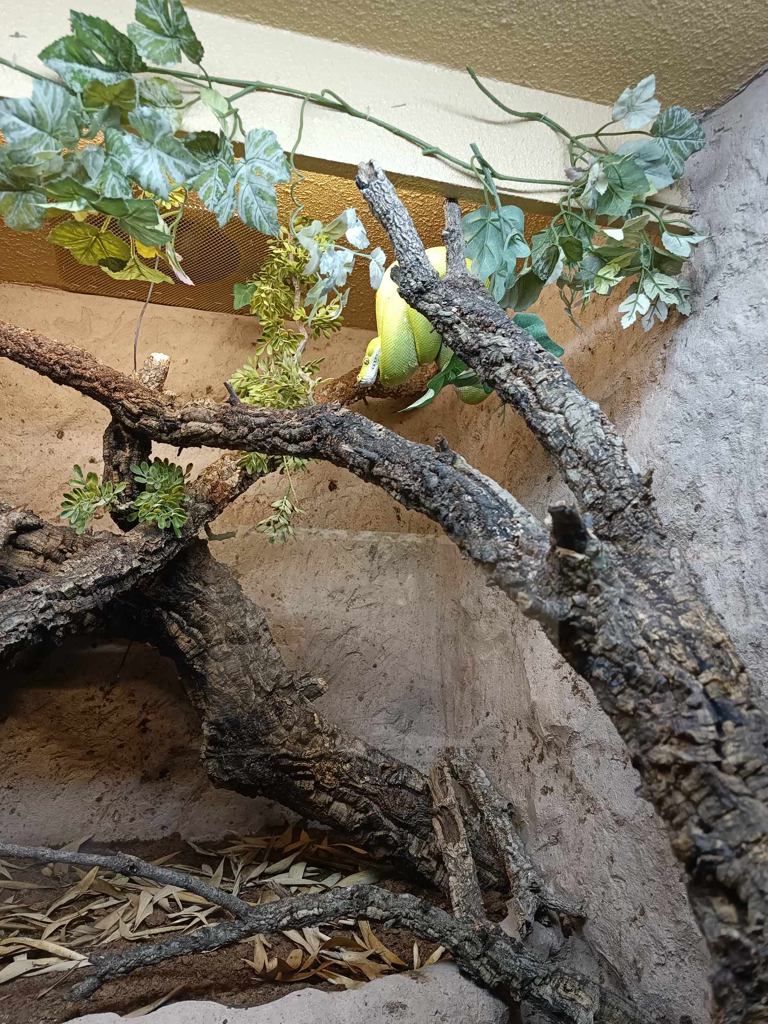 Photo n° 5 de l'avis de Aurore.i fait le 12/08/2023 à 08:58